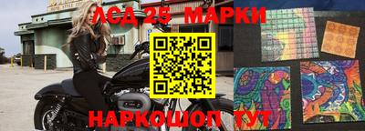 герыч Кингисепп