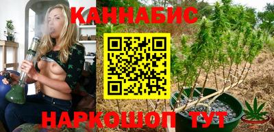 герыч Кингисепп