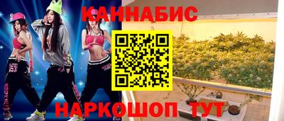 сатива Кимры