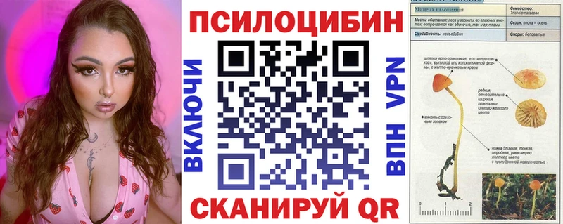 Галлюциногенные грибы Cubensis  Сокол 