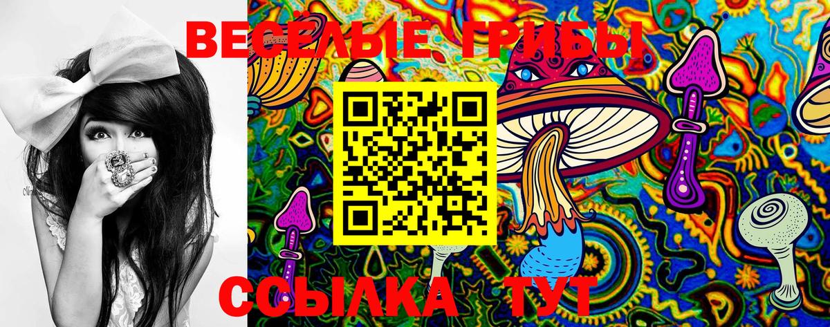 Псилоцибиновые грибы Psilocybine cubensis  где продают   Сокол  Галлюциногенные грибы Magic Shrooms  Вход с VPN 